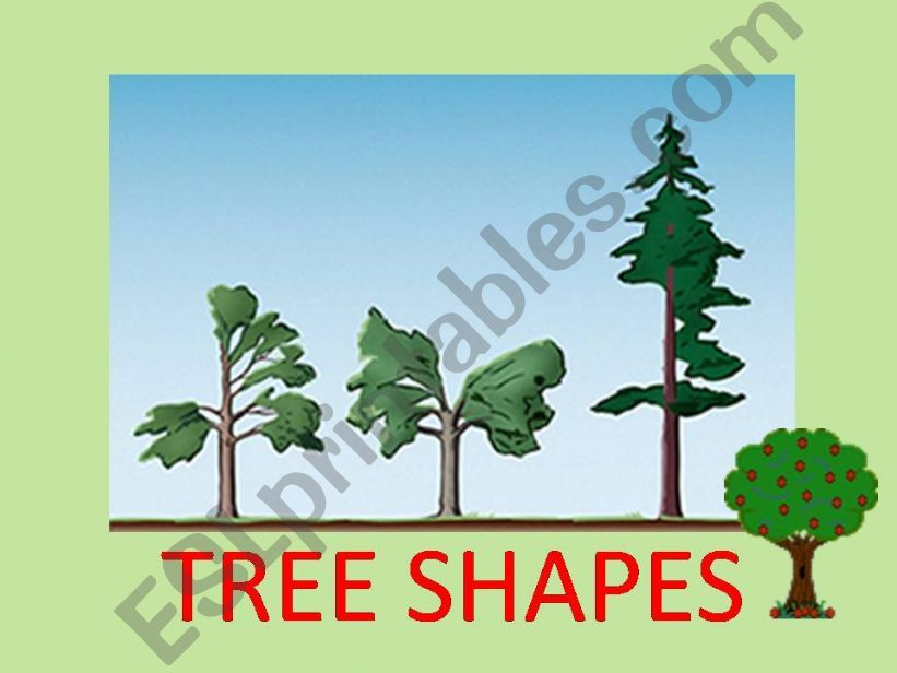 Tree Shapes Part 1 of 3 powerpoint