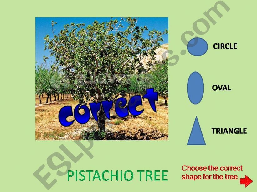 Tree Shapes Part 3 of 3 powerpoint
