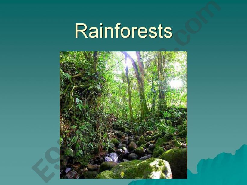 Rainforests powerpoint