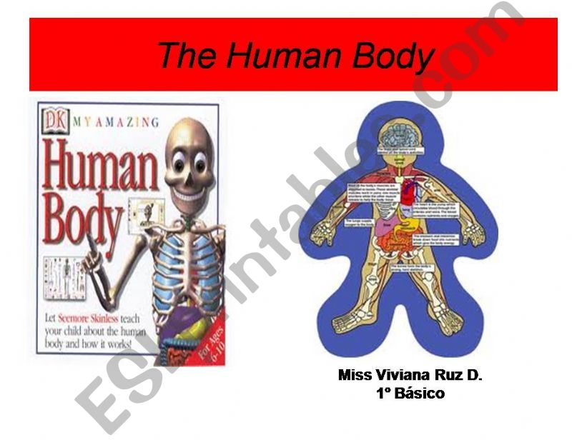 My human body powerpoint