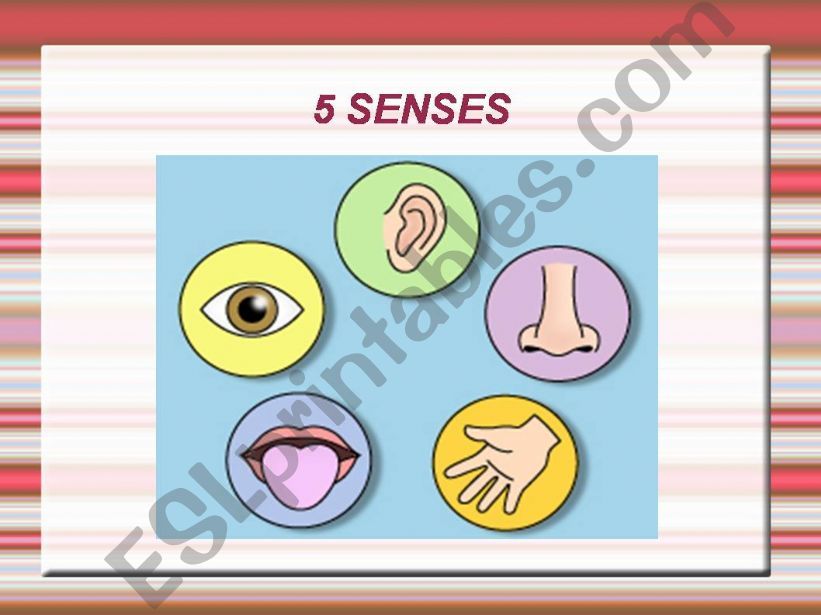 5 senses powerpoint