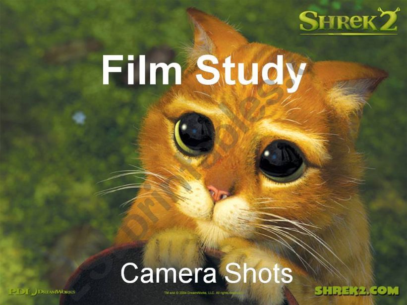 Camera Shots powerpoint