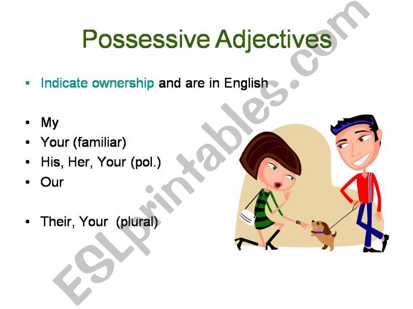 possessive adjectives  powerpoint