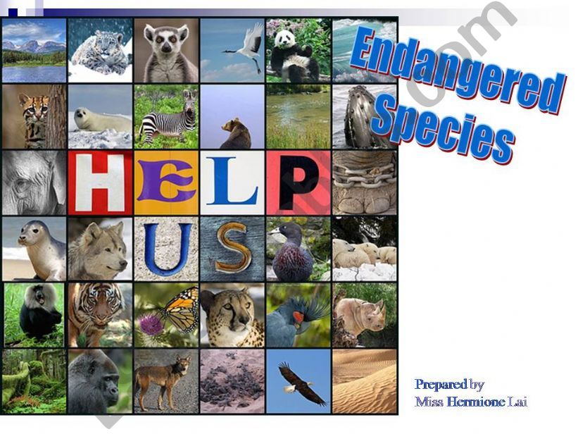 Endangered Species - Save our Environment