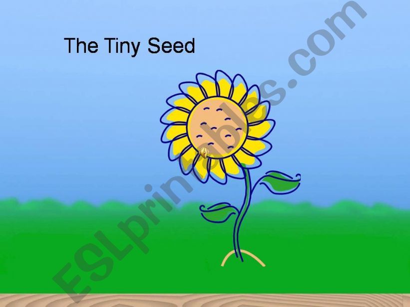 The tiny seed powerpoint