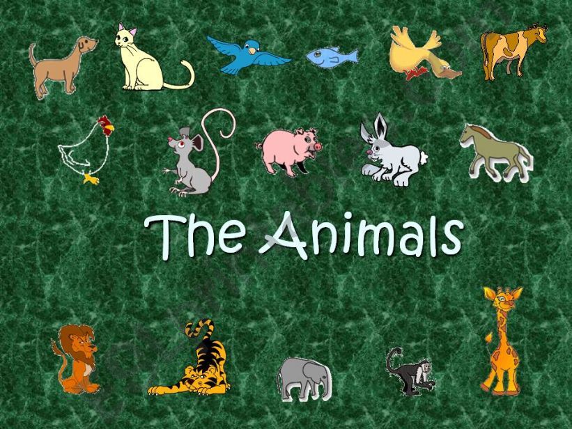 THE ANIMALS powerpoint
