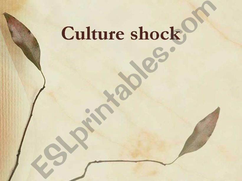 a lesson on culture shock situation