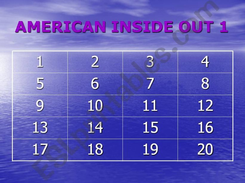 Review for the book American Inside Out A