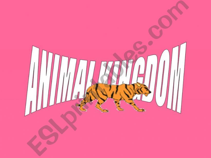 animal kingdom powerpoint