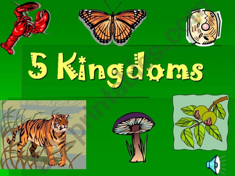 Five Kingdoms of Living Things