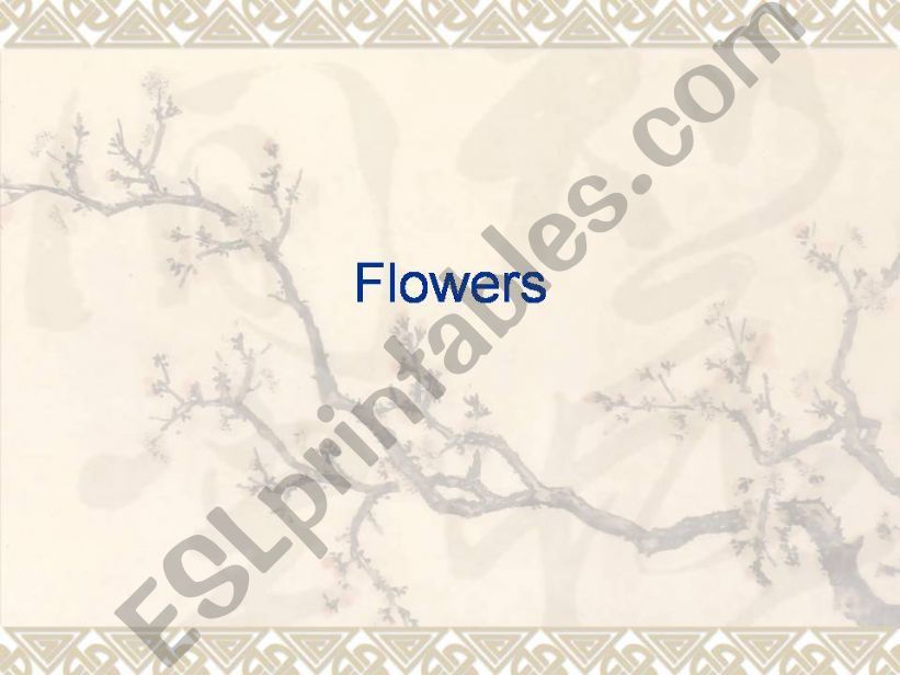 All About Flowers powerpoint