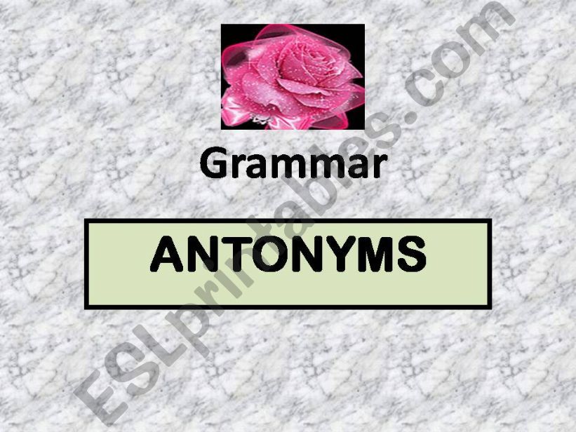 antonyms powerpoint