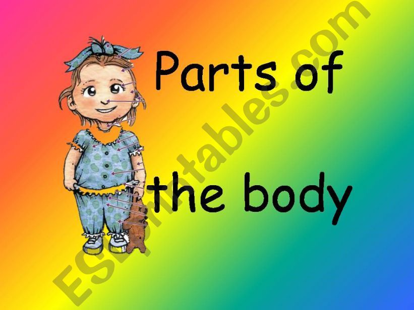 Parts of the body powerpoint