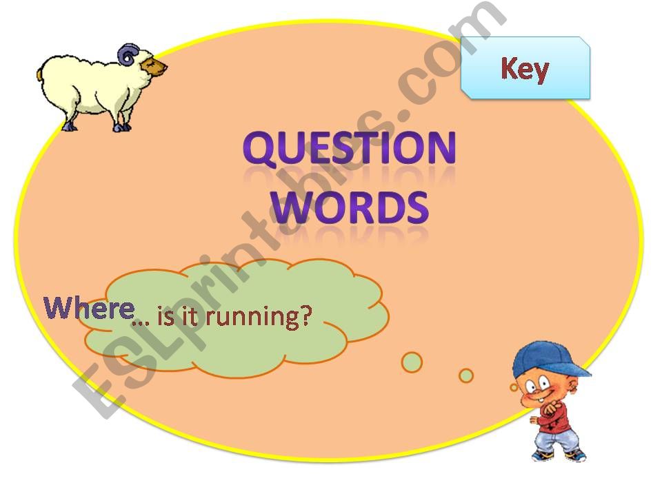 Question Words Present Simple/Present Continuous Part 2