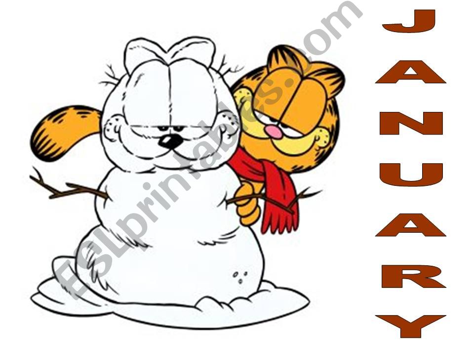 The months with garfield - flashcards