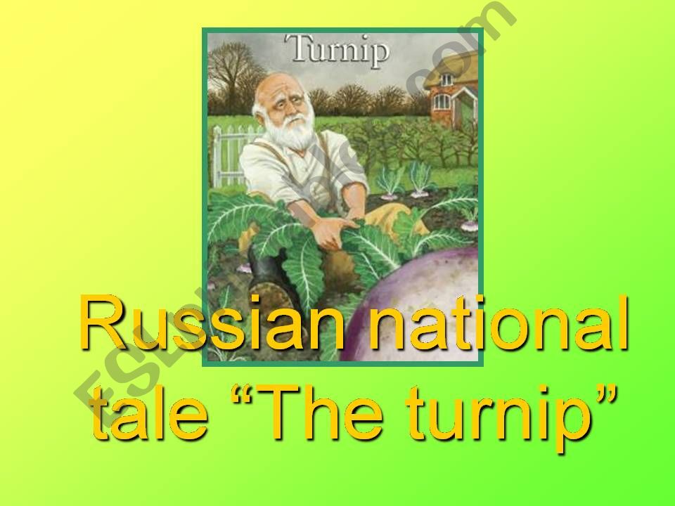 TURNIP powerpoint