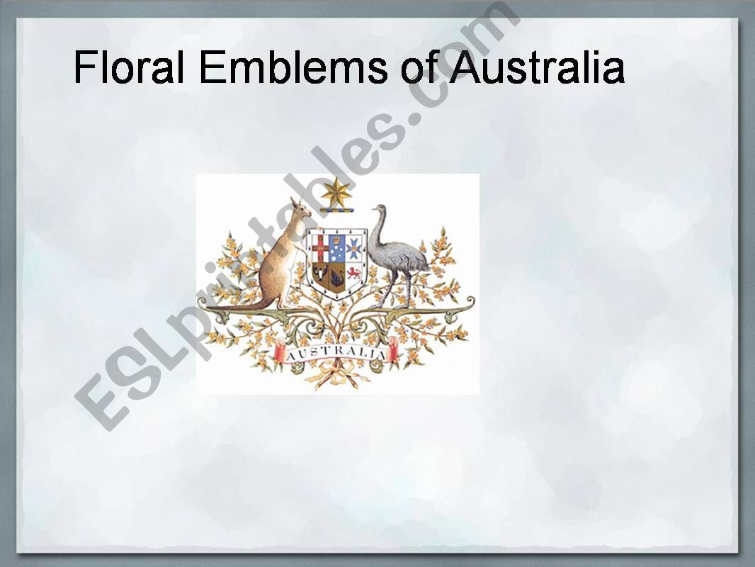 Floral Emblems of Australia powerpoint