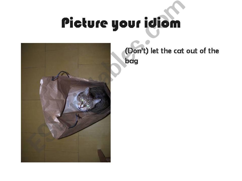 Pictures with idioms powerpoint