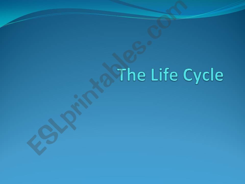 Life cycle powerpoint