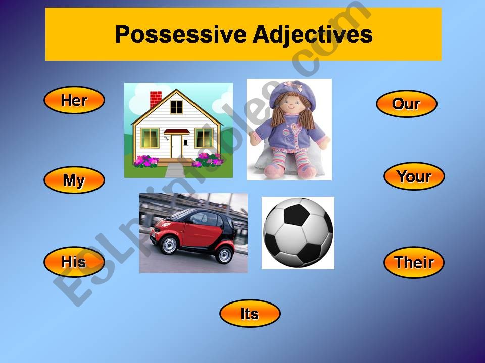 possessive adjectives powerpoint