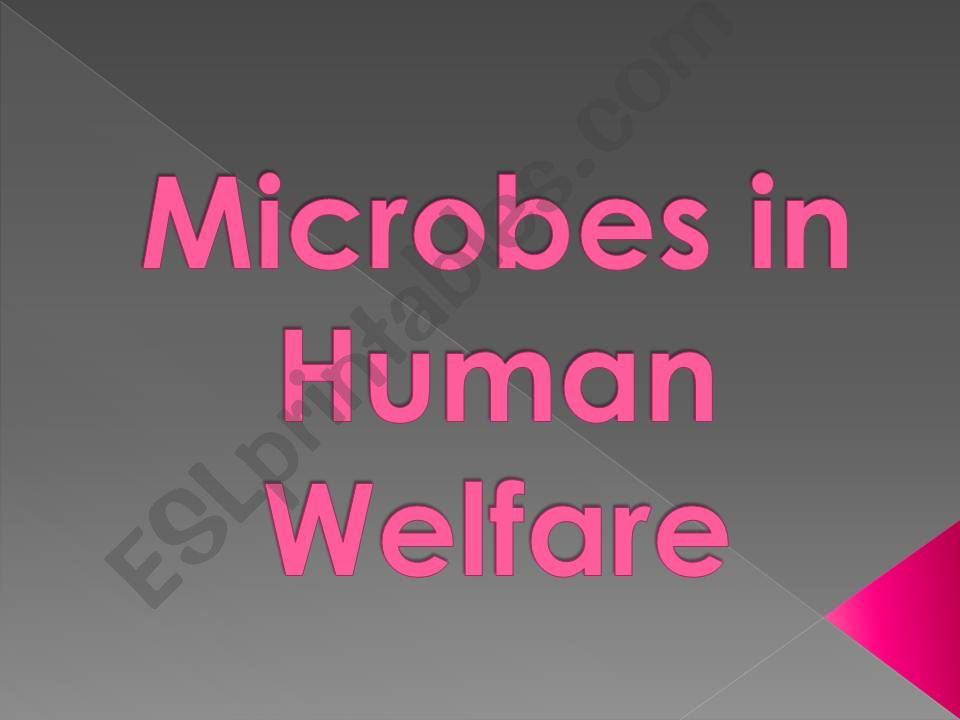 microbes in human welfare powerpoint