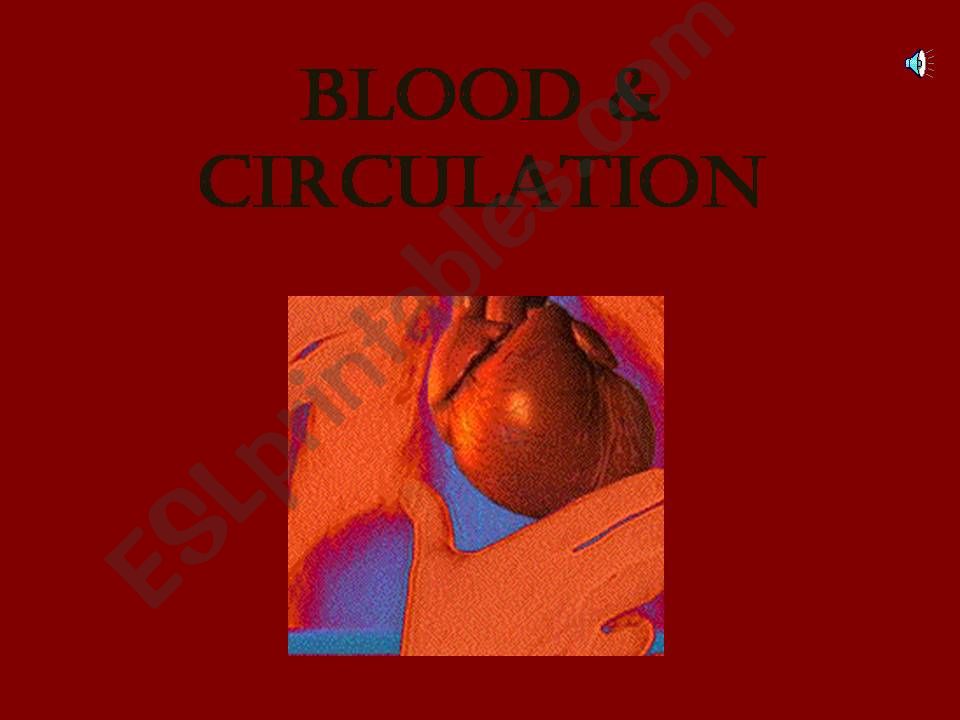 blood circulation powerpoint