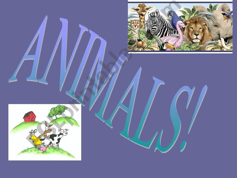 esl-english-powerpoints-what-animal-is-it