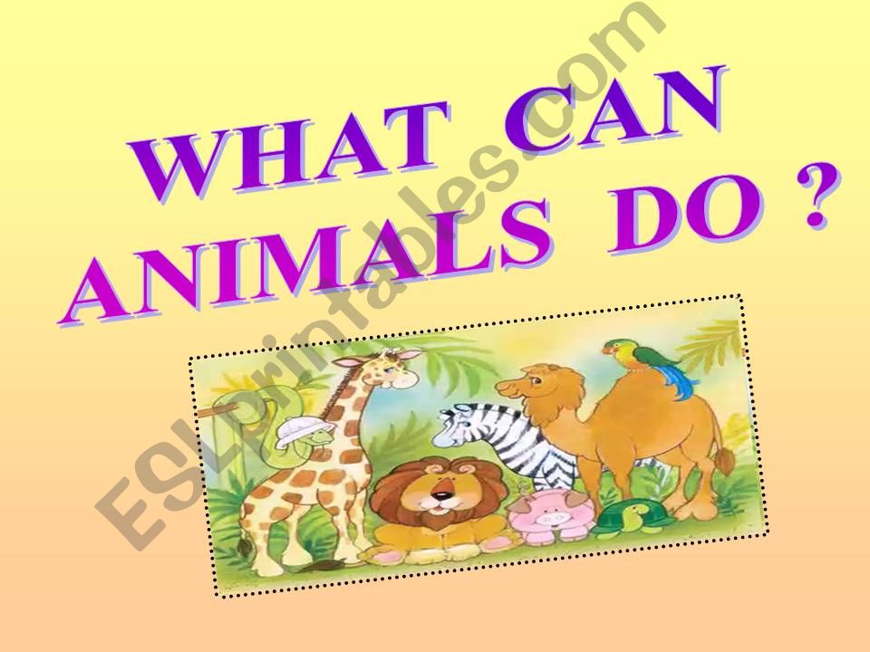 What can / can not animals do?