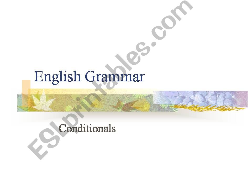 English Grammar: Conditionals powerpoint