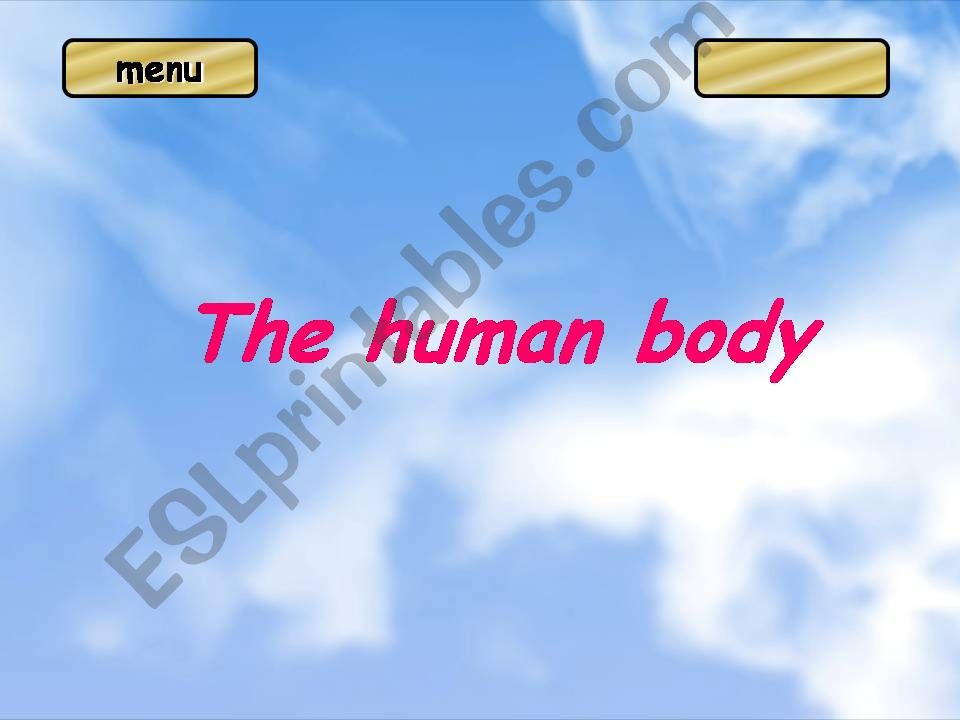 Human body Jeopardy powerpoint