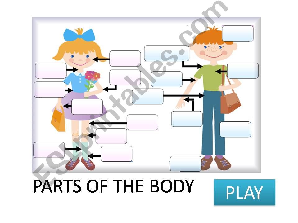 Parts of the body powerpoint