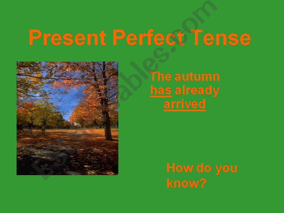 present  perfect tense powerpoint