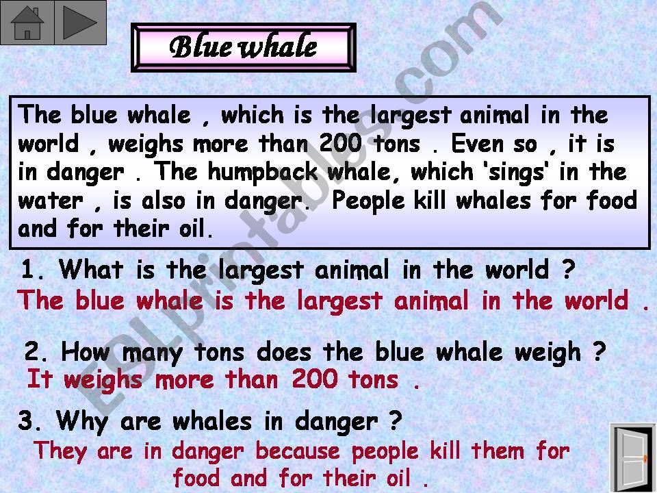 endangered animal powerpoint