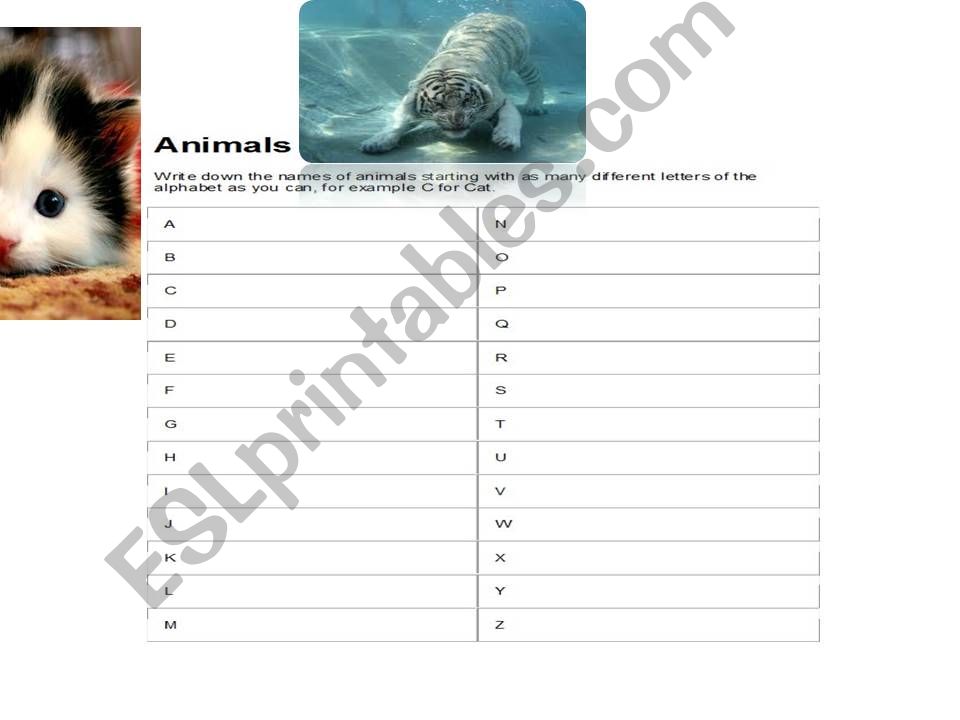 write the name of animals powerpoint