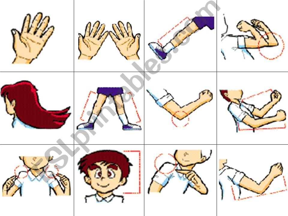 Body parts memory game powerpoint