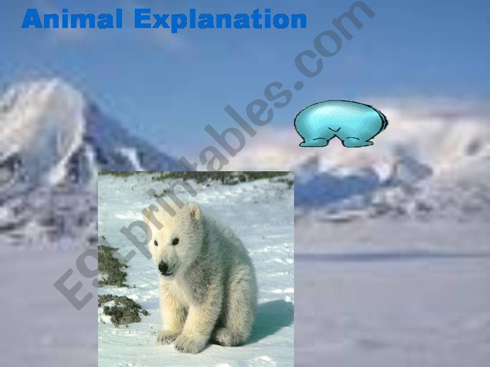Polar Bear in Report Text powerpoint