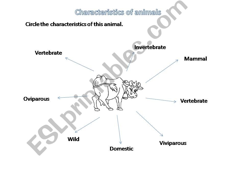 Characteristics of animals powerpoint