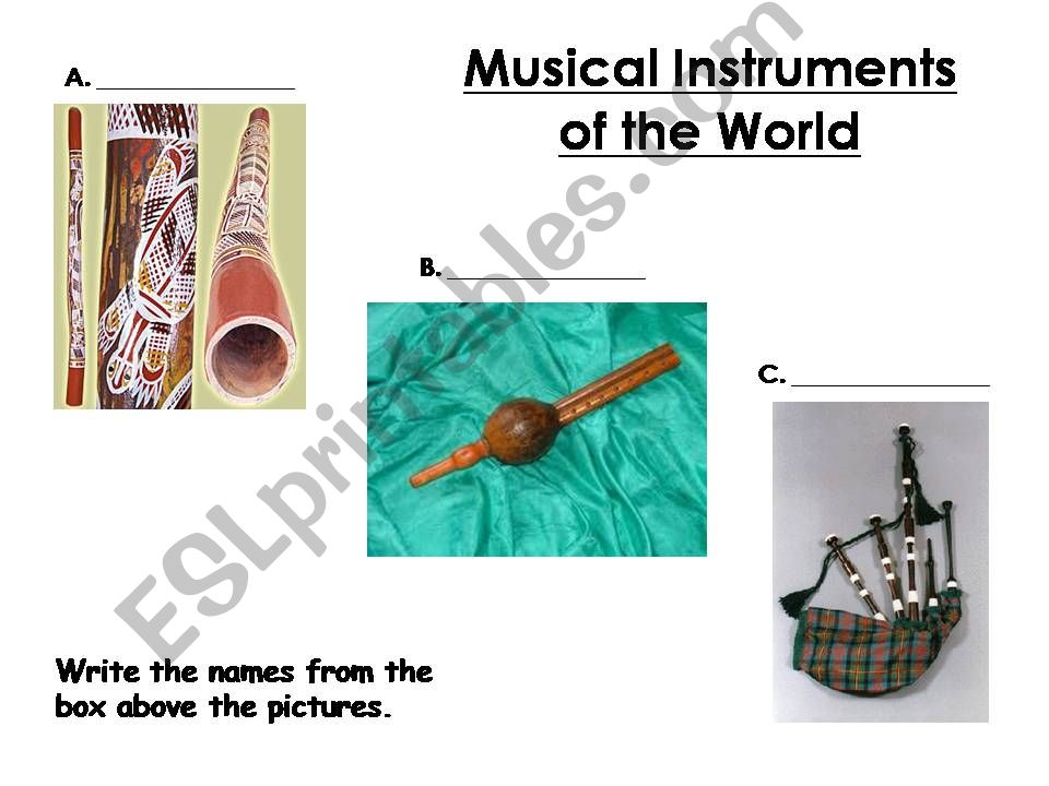 Musical Instruments of the World