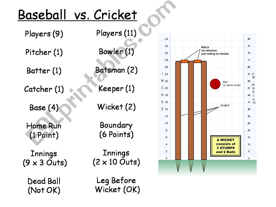 ESL English PowerPoints Baseball or Cricket