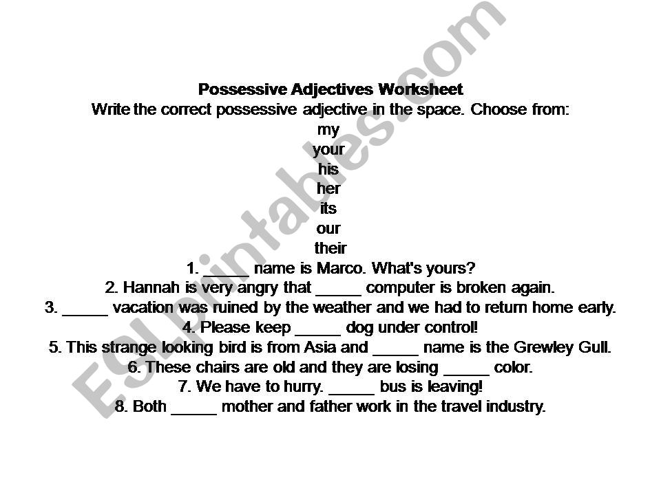 possessive adjectives powerpoint