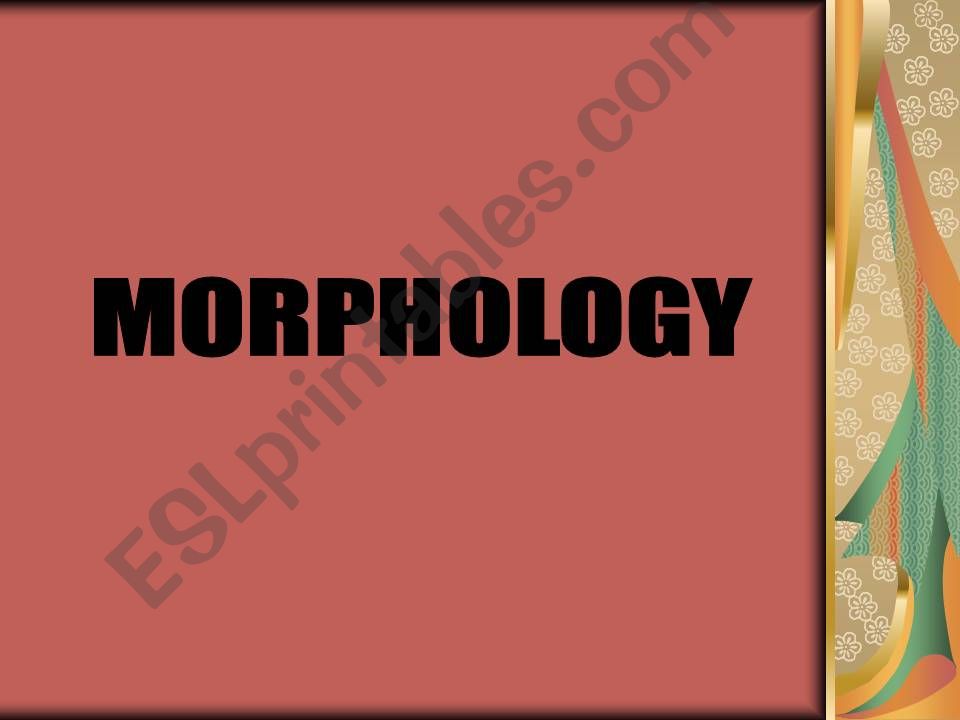 Morphology powerpoint