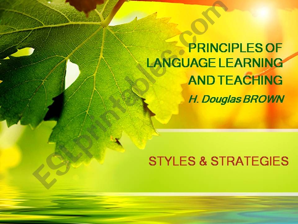 Styles and strategies powerpoint