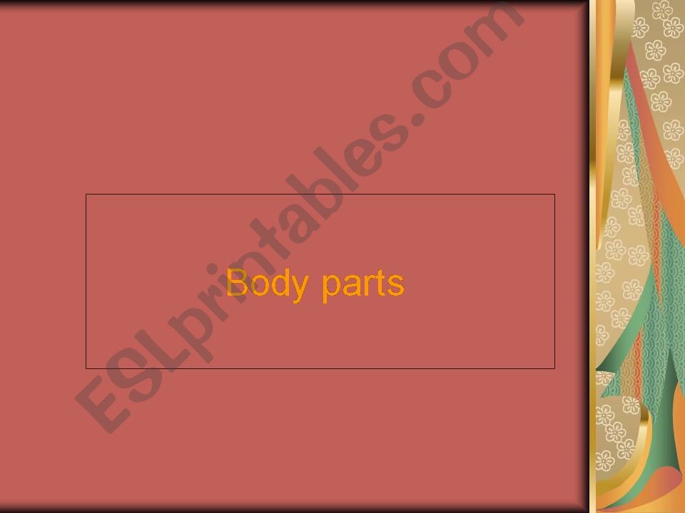 body parts powerpoint