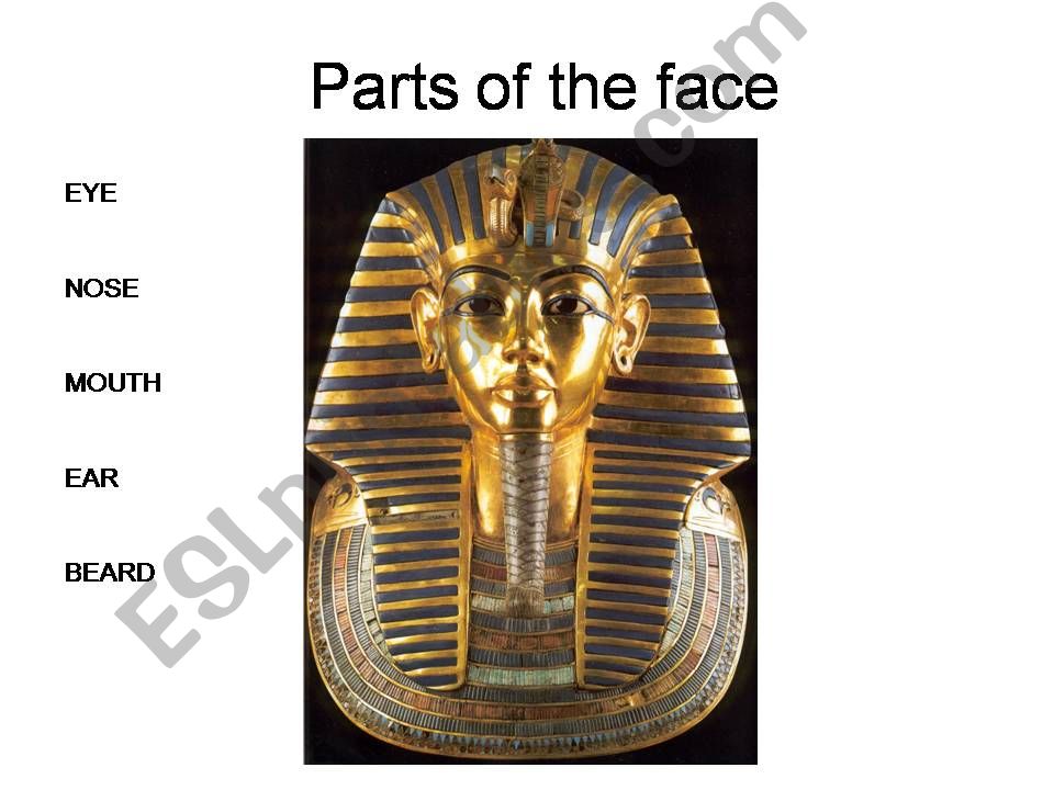 Parts of body. Egypt powerpoint