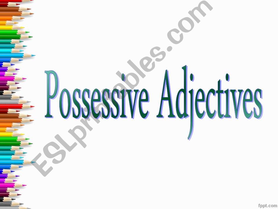 Possessive Adjectives Presentation