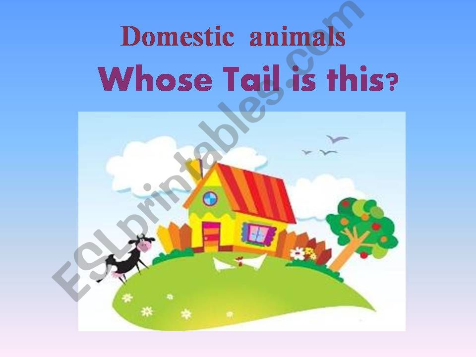 Whose tail is that ? powerpoint