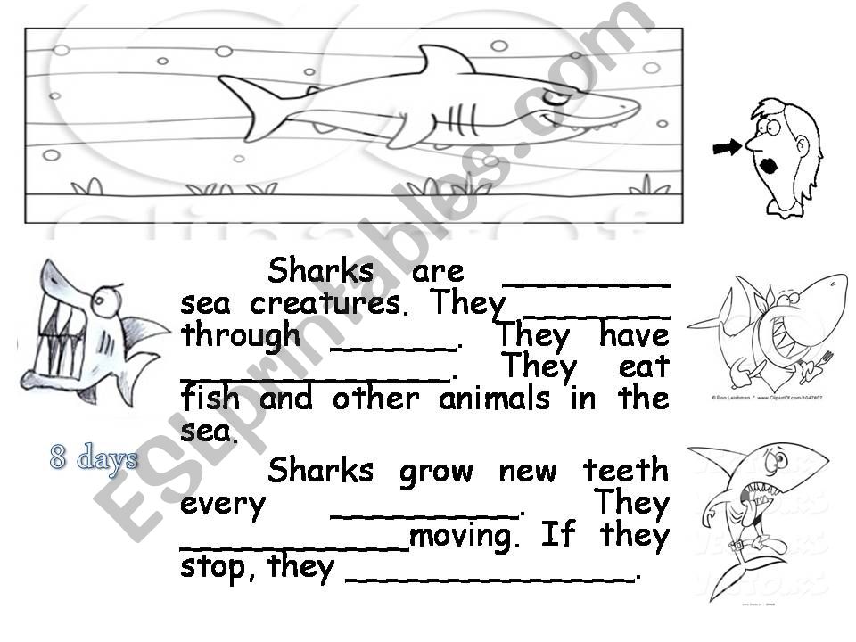 shark powerpoint