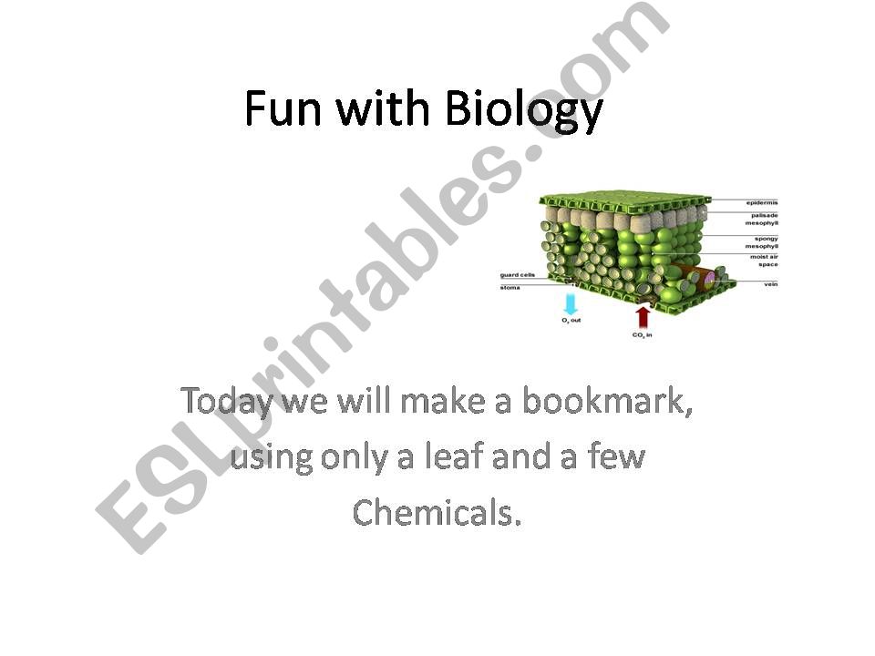 Fun with biology powerpoint