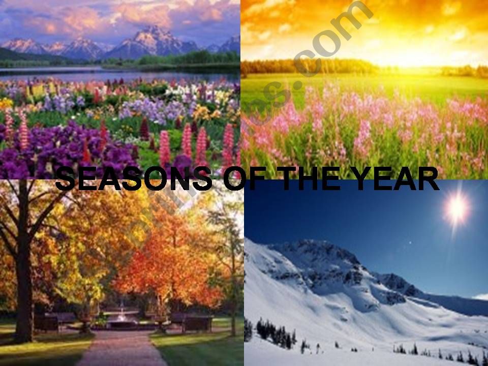 Seasons of the year powerpoint