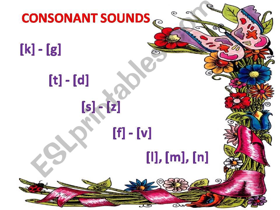 consonants bp kg dt zs vf m l n